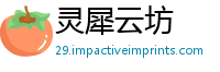 灵犀云坊